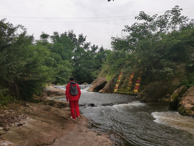 FZ10041232081_A508660.jpg
