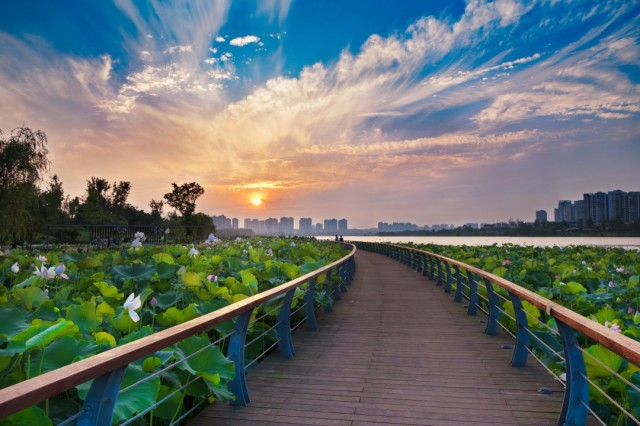 遂宁市船山区圣莲岛风光.jpg