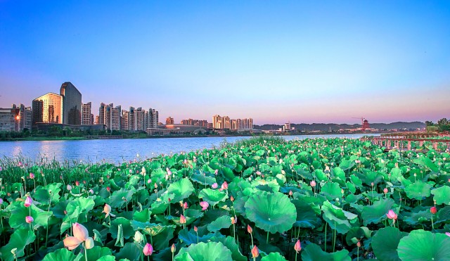 遂宁观音湖湿地公园旅游区（中共遂宁市委宣传部 供图）.jpg