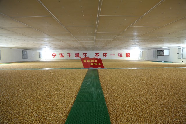中国粮食大国粮仓图片